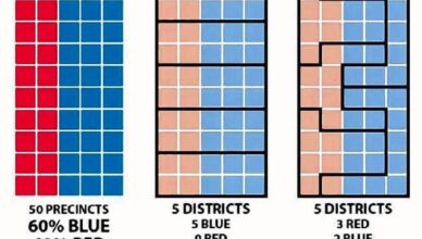 Understanding Gerrymandering: How It Affects Electoral Outcomes